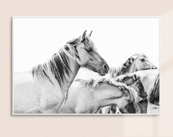 Wild Horses Print // Black and White photo // Wild Horses Art Print