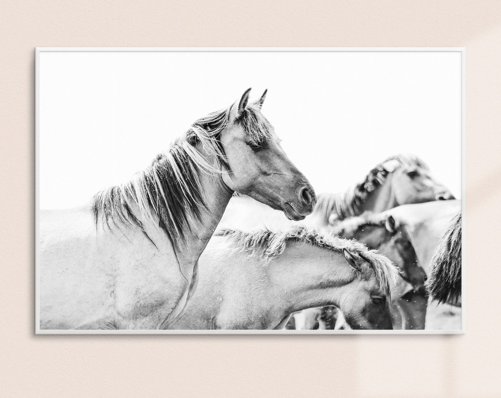 Wild Horses Print // Black and White Photo // Wild Horses Art | Etsy