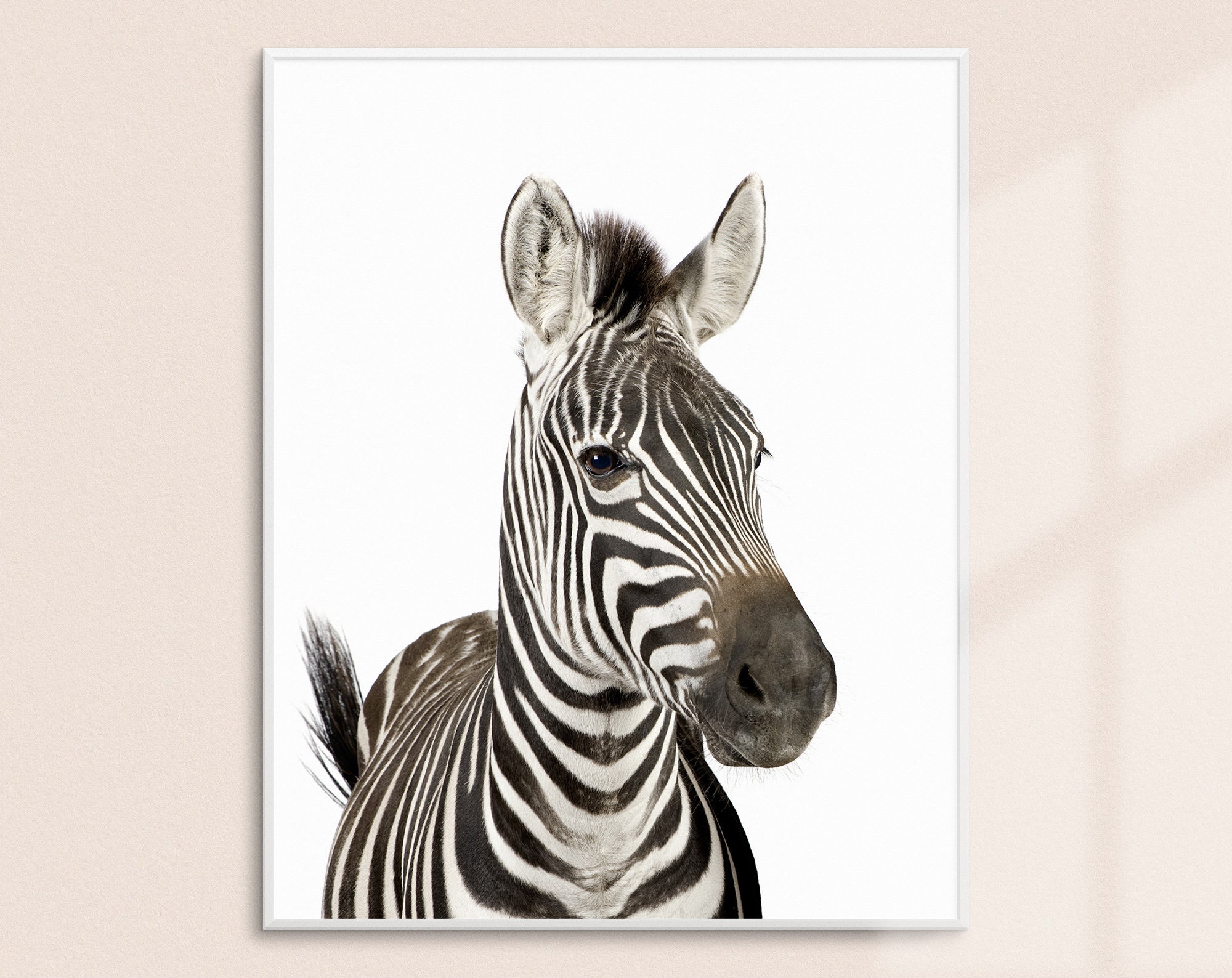 Zebra Print, Nursery Wall Art, Kids Decor, Adorable Cute Animal Prints