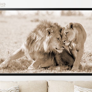 Lions in Love Poster Sepia // Lion Couple Wall Art // Sepia Poster Decoración de pared