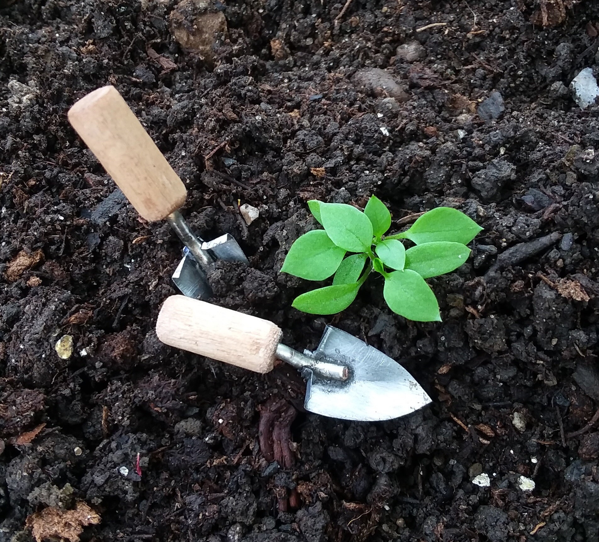 Miniature Garden Trowel Dollhouse Gardening Shovel Miniature Etsy