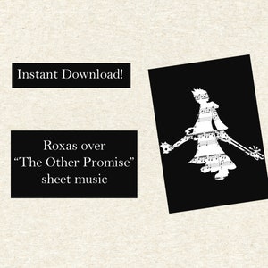 Kingdom Hearts: The Other Promise