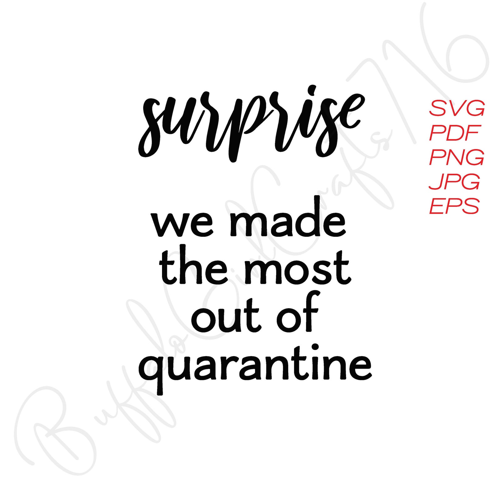Download SVG Surprise We Made The Most Out of Quarantine Baby Onesie | Etsy