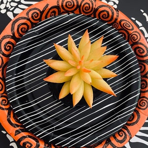 May include: Two black and orange paper plates with a spiral design. The top plate has a black and white striped design. A yellow succulent plant is centered on the plates.