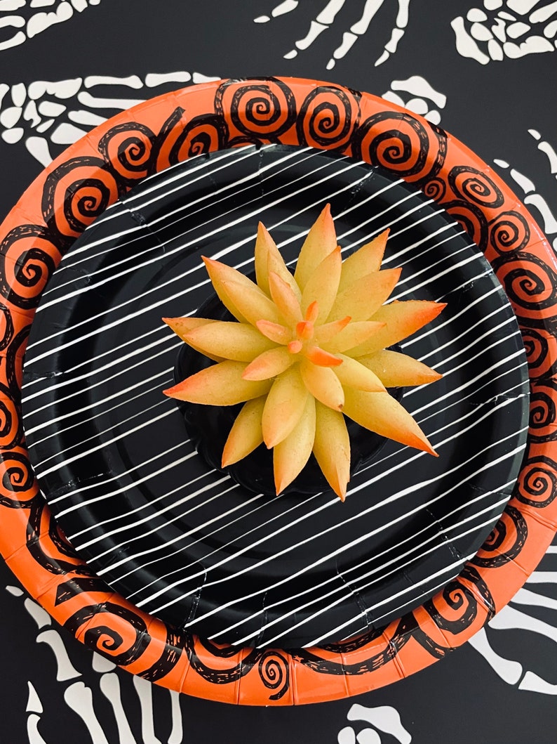 May include: Two black and orange paper plates with a spiral design. The top plate has a black and white striped design. A yellow succulent plant is centered on the plates.