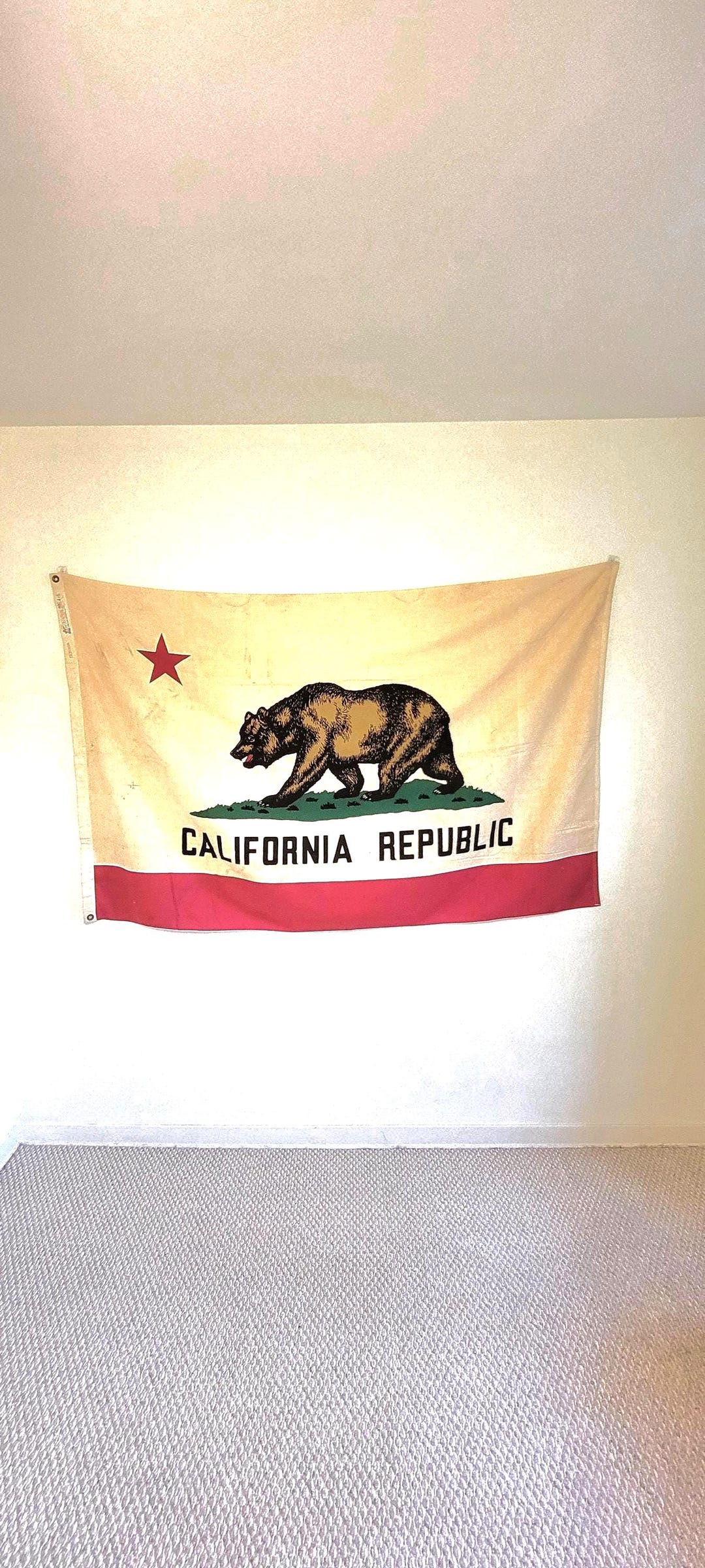 デトラフラッグ DETTRA FLAG 約90-150センチ Vintage California Flag by Dettra 1950's Era Bull Dog Bunting 4' X