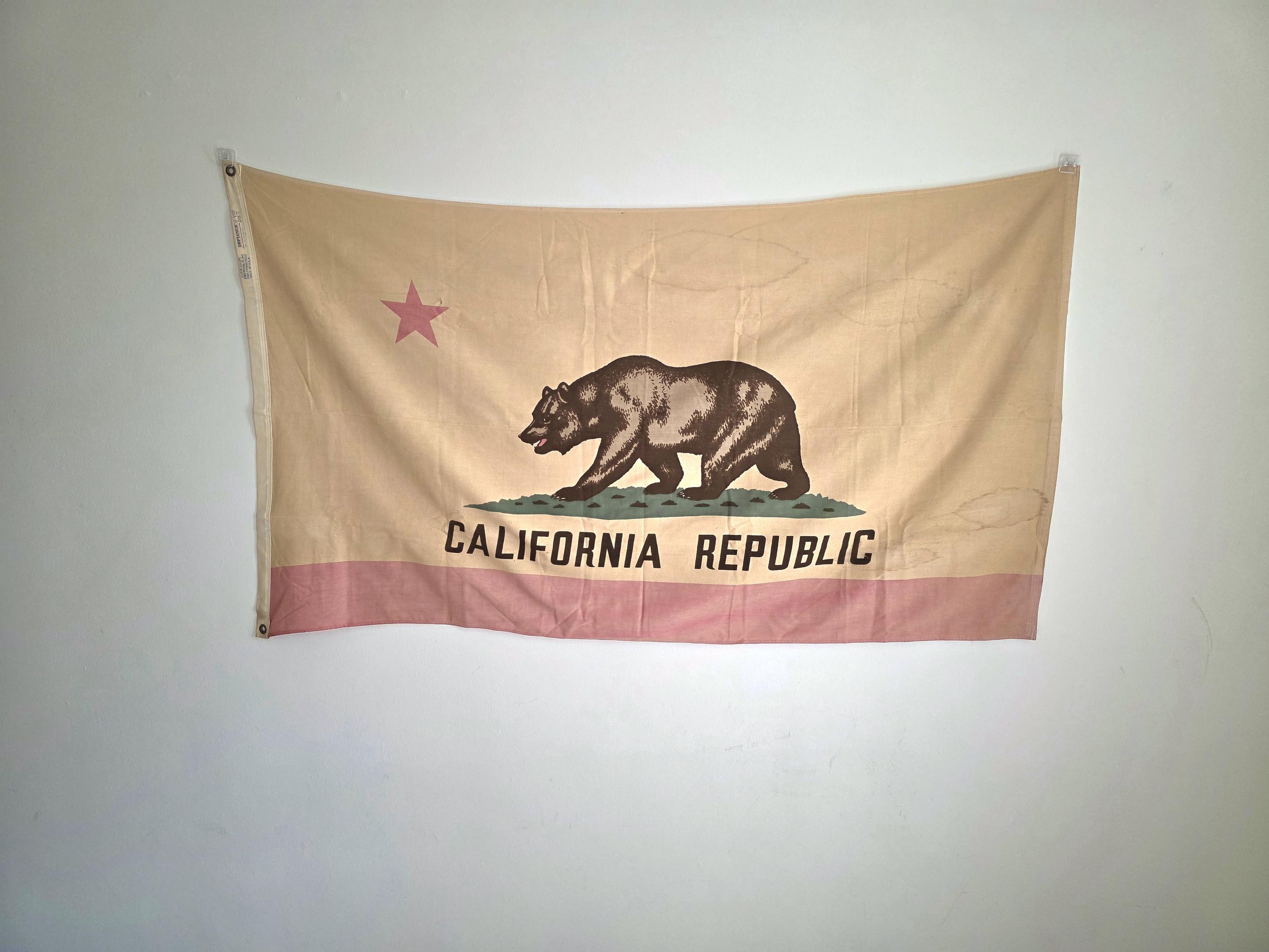 Defiance Annin Flag - Etsy