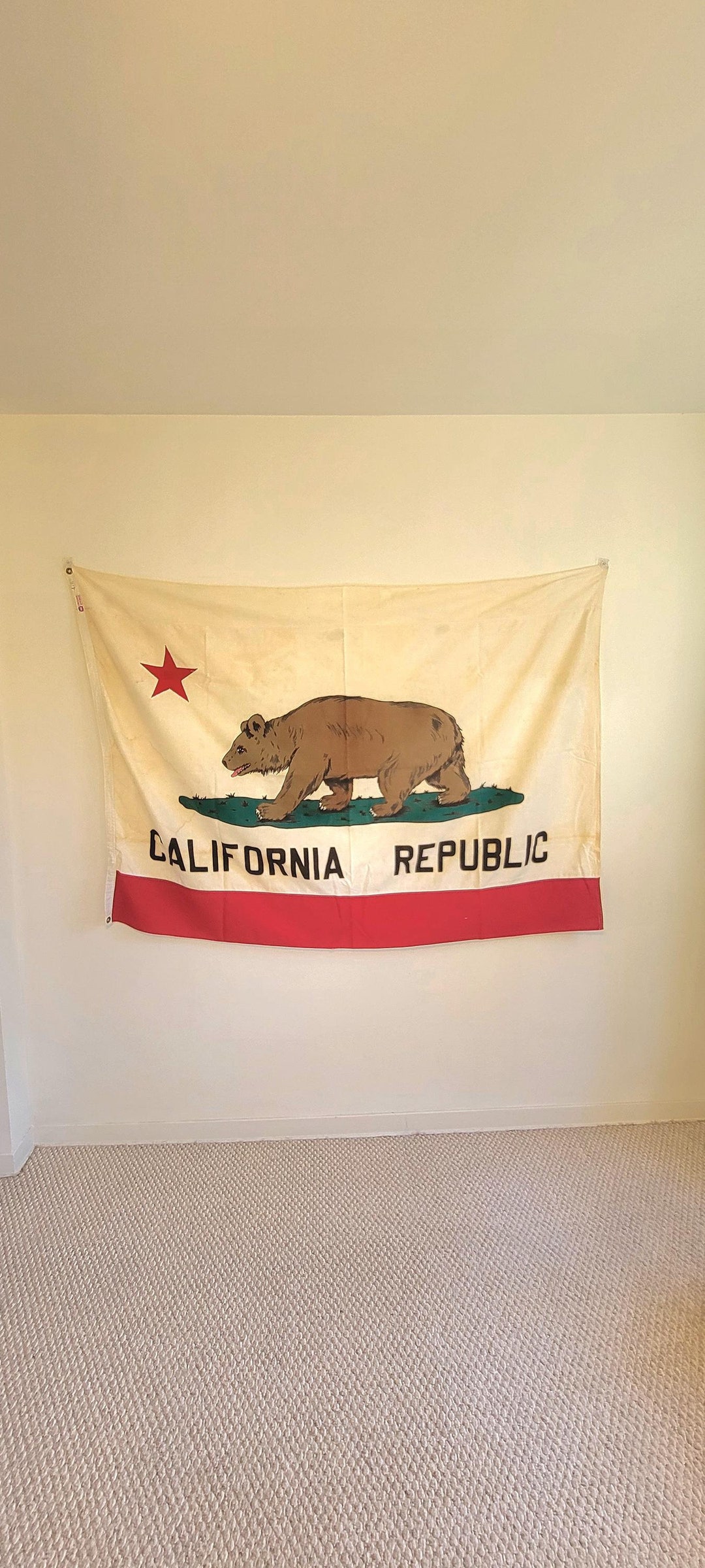 Bandiera Dello Stato Della California, Bandiera Italia - Foto 4