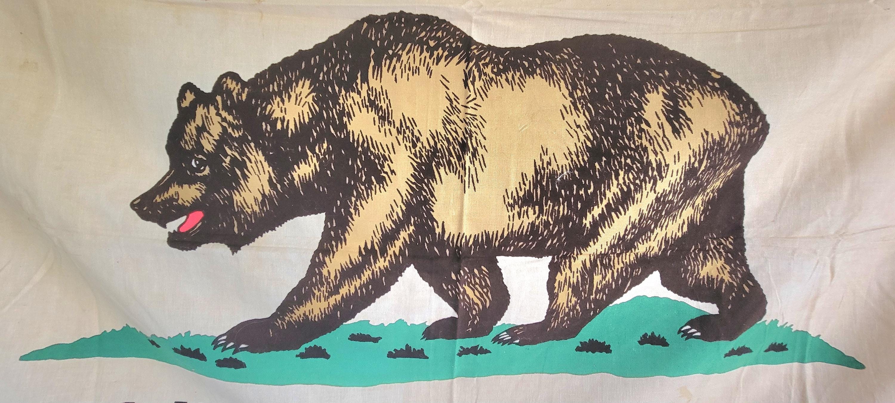 Vintage California Flag by Dettra 1950's Era Bull Dog Bunting 4' X