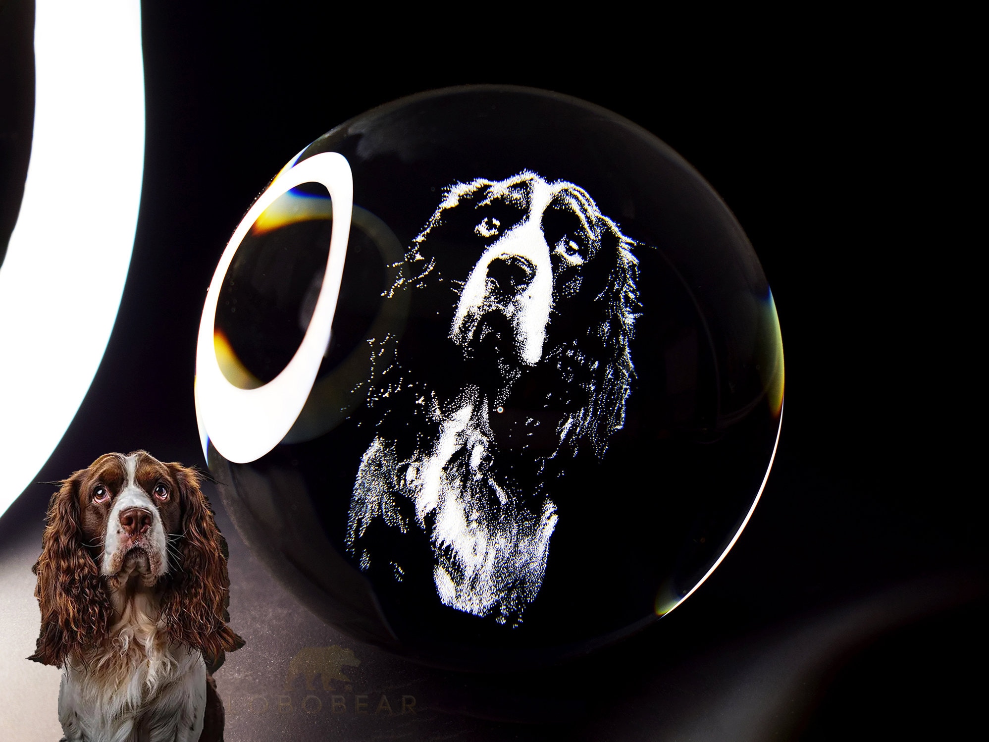 WBW Personalisierte 3D-Kristallkugel Mit Bild & Produktbild-Vorschau 8