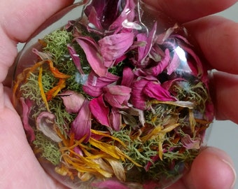 ALNITAK Glass Disc Nature Momento Ornament