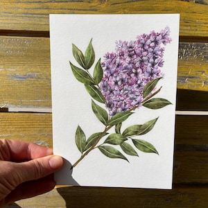 Lilac Print