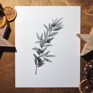 Olive Branch Print