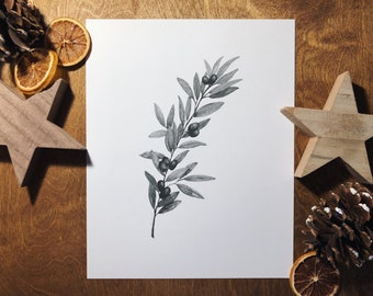 May include: A black and white watercolor illustration of an olive branch with leaves and berries.
