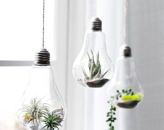 3 Hanging Terrarium Bulbs, Hanging Planter, Succulent Planter, Air Plant Holder, Tea Light Holder, Succulent Pots, Wall Planter, Air Plants