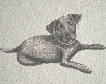 Print of Patterdale Terrier Puppy, Pencil Drawing (A6)