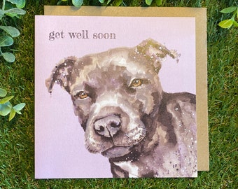 Get Well Soon Colour Pop Dog greeting card, dog greeting card, dog birthday card, dog illustration