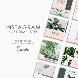 Plant Instagram post templates made in Canva