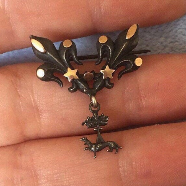 Antique Victorian 9K Gold & sterling silver French Royal Crown Fleur De Lis Pin Brooch with unusual animal charm