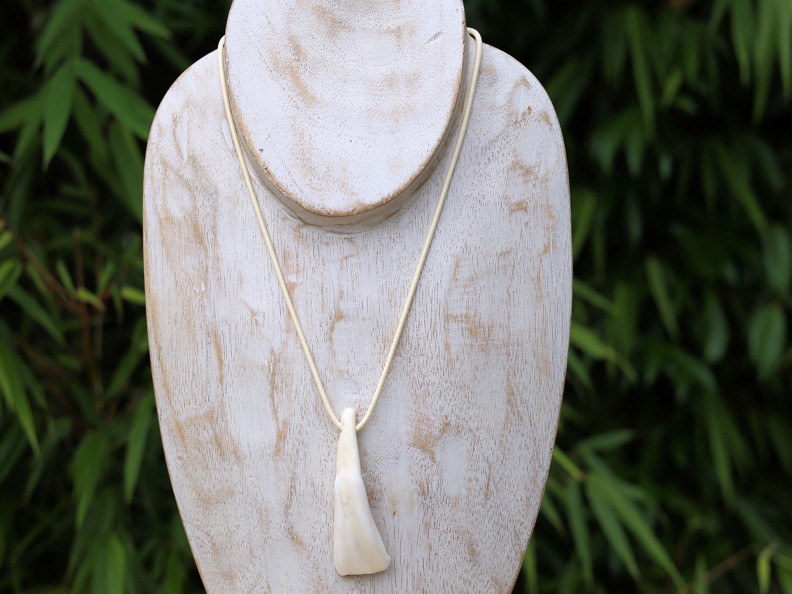 ネックレス・ペンダント a-58 Buffalo Teeth / Wild life Necklace Native American Made Buffalo Tooth Necklace - Etsy