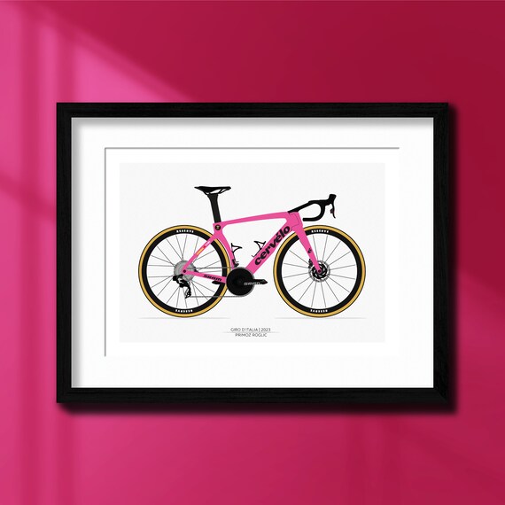 Primoz roglic bike hotsell