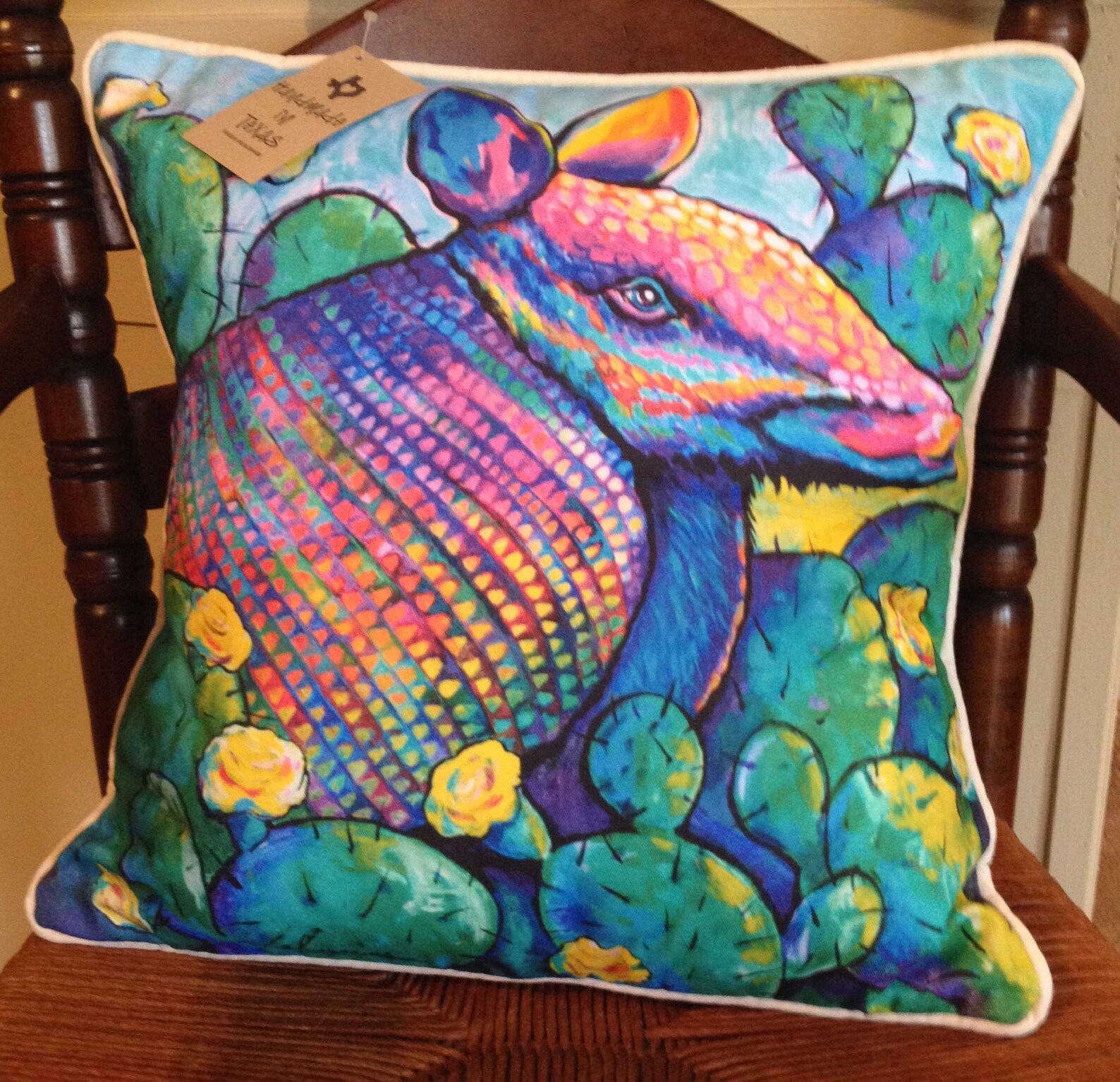 Armadillo Pillow Cover Etsy