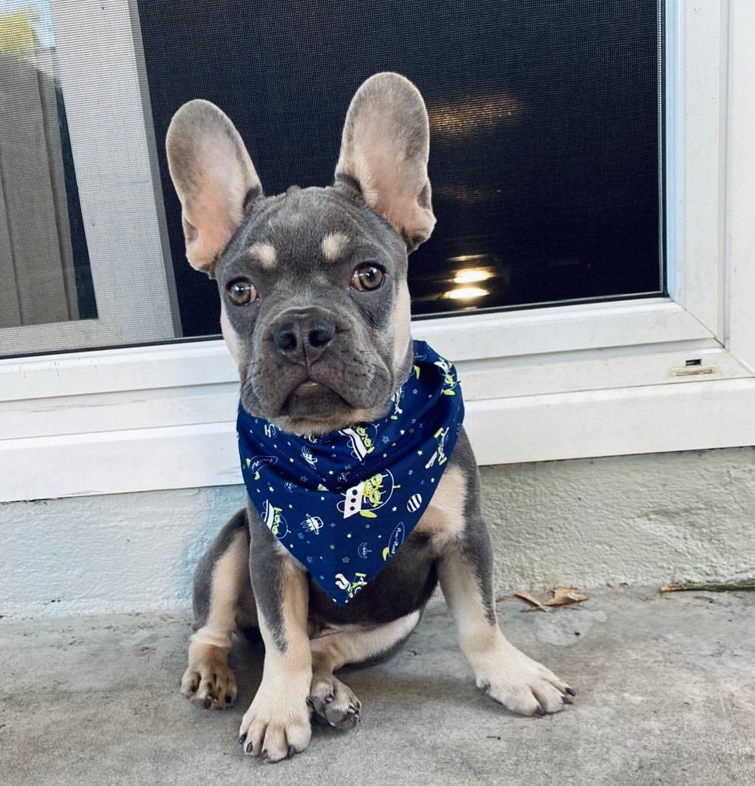 toy story dog bandana