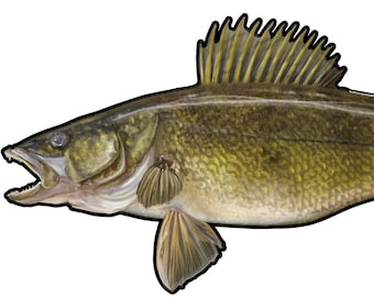 Walleye Die-Cut Sticker UV Coated Inks on Vinyl 7.5" x 3.5"