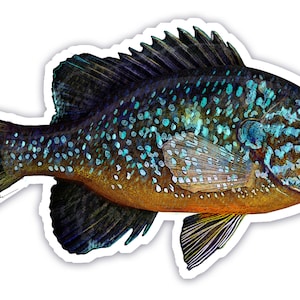 Pumpkinseed Panfish Die-cut Bumper Sticker 5.5"x3" UV Coated Inks