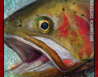Greenback Cutthroat Limited Edition Sticker 4x4 Inches, Illustrated By Michael F. Higgins Matte Finished UV Coated Vinyl