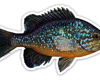 Pumpkinseed Panfish Die-cut Bumper Sticker 5.5"x3" UV Coated Inks