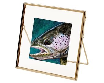 Limited Supply 6.5 x 6.5 Gold Metal Floating Framed Giclee Prints... Rainbow Trout, Brown Trout, Brook Trout and more...