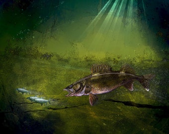 Walleye, the Chase: Giclee Walleye Fishing Art Print