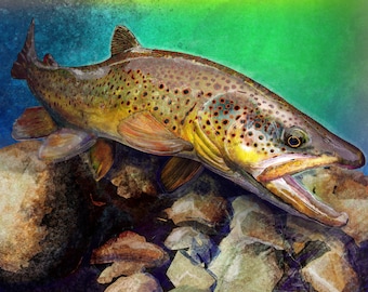 The Wild Brown Trout in Blue Green, Painting Artist Prints