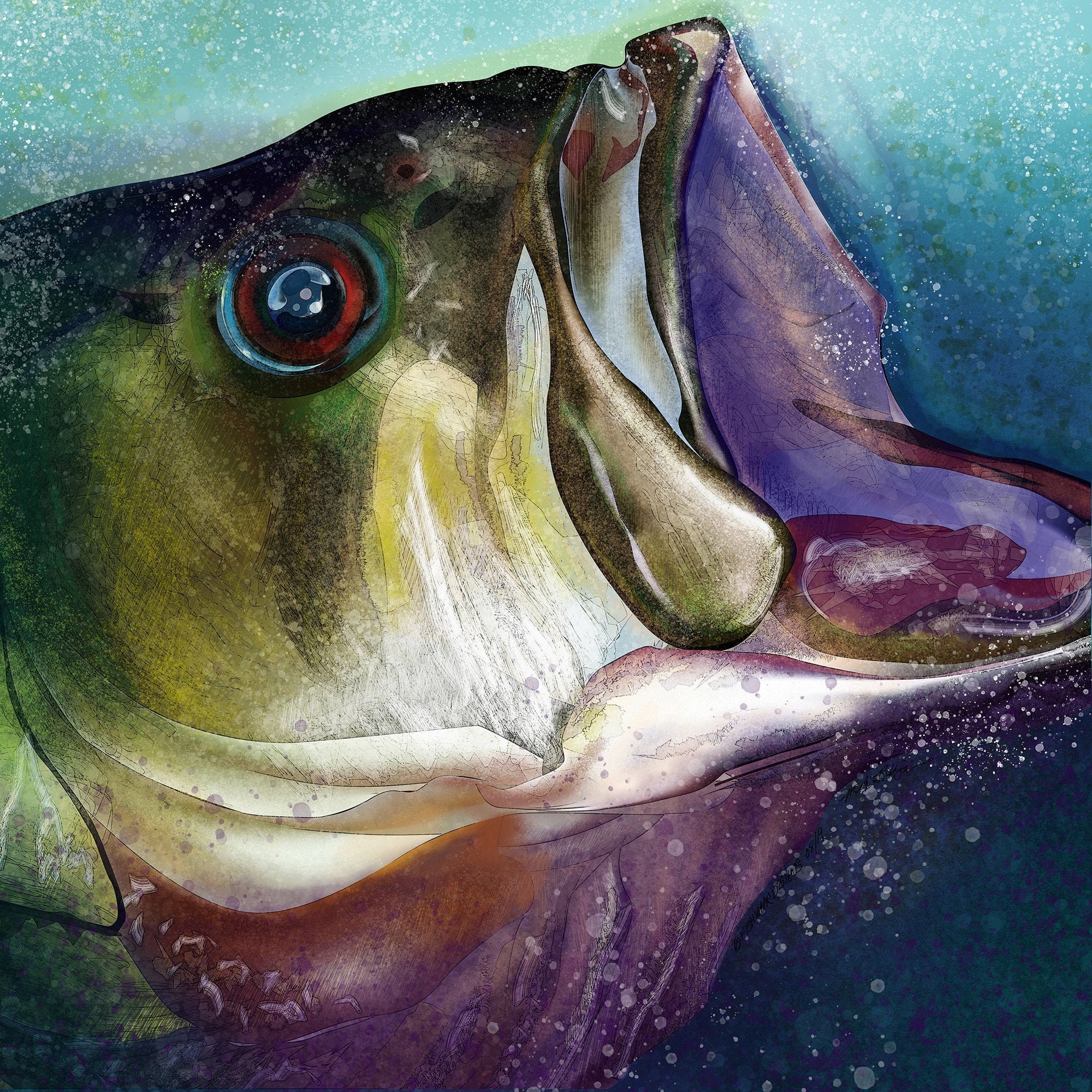 Largemouth Bass Head Painting Giclee Prints Etsy