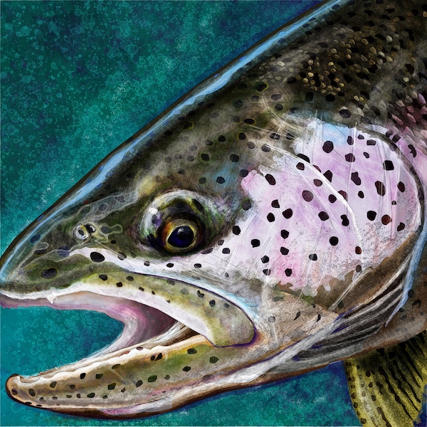 Het Steelhead Trout Schilderij, Giclee Prints