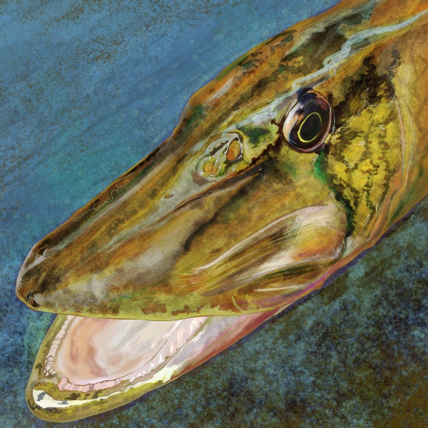 Het schilderij van De Zomer pickerel, Giclee Prints