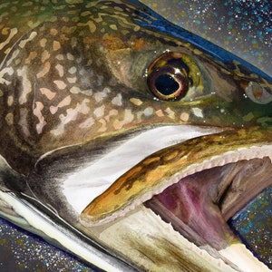 Lake Trout Head Painting Giclee Prints