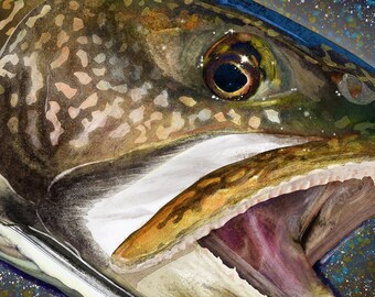 Lake Trout Head Painting Giclee Prints