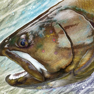 Bull Trout Head Painting Giclee Prints