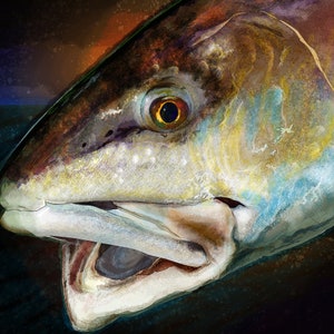 The Evening Red Drum Painting Giclee Prints