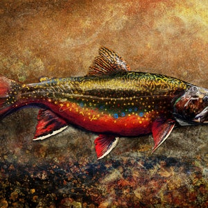 May include: A detailed painting of a brook trout with a red belly, black and yellow spots, and a yellow and orange tail fin. The fish is swimming in a brown and green water background.