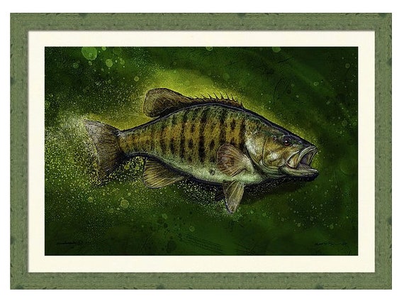 The River Smallie, Smallmouth Bass 