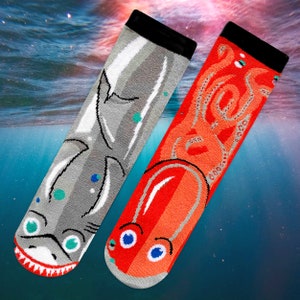 Shark & Octopus Mismatched Ocean Animals Socks