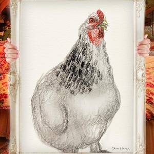 Custom Pet Chicken Portrait Drawing | Hand Drawn Colored Pencil Pet Artwork | Personalized Pet Chicken Portrait from Photo | Bird Owner Gift