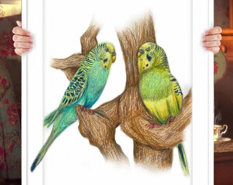 Custom Bird Portrait in Colored Pencil Drawing