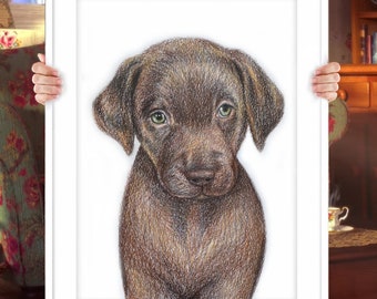 Custom Dog Portrait in Colored Pencil Drawing | Pet Portraits | Realistic Dog and Cat Commissions | Detailed Pet Portrait From Photo