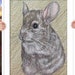 see more listings in the Chinchilla Portraits section