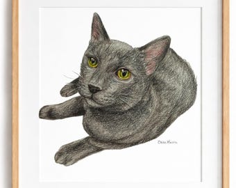 Cat Portrait Drawing | Hand Drawn Pet Portrait | Custom Pet Portrait | Family Pet Keepsake | Colored Pencil Drawing | Cat Portrait Sketch