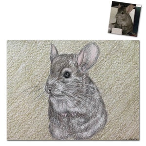 Custom Chinchilla Portrait in Colored Pencil image 4